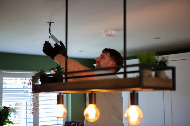 Best Electric Panel Repair  in Lamar, TX